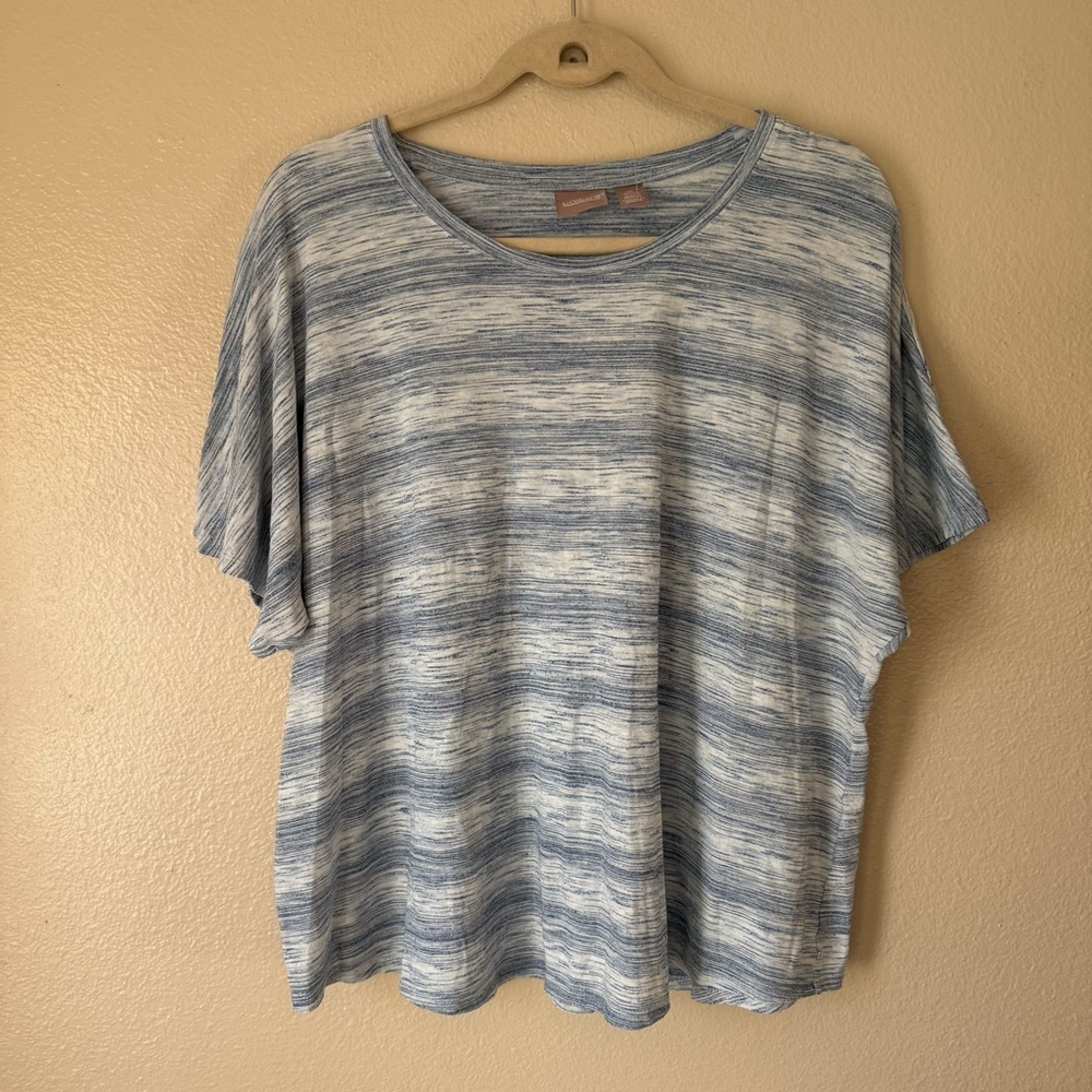 ❇️Chico's Blue and White Short Sleeve Top 2 for $22❇️